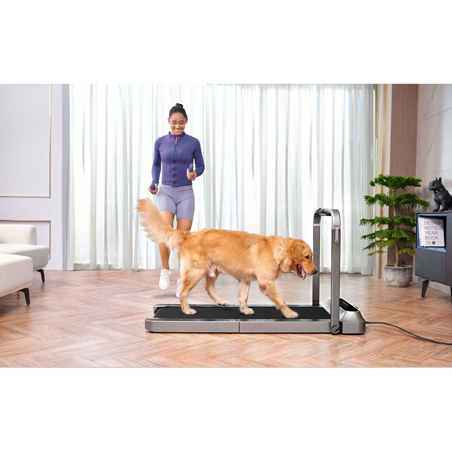 2 in 1 APP Control Walking & Running Underdesk Electric Folding Treadmill 12KM/H